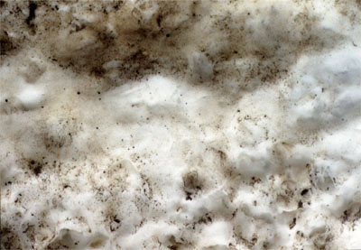 Rock1_075.jpg