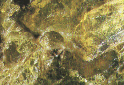 Rock1_076.jpg