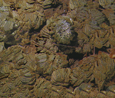 Rock1_078.jpg