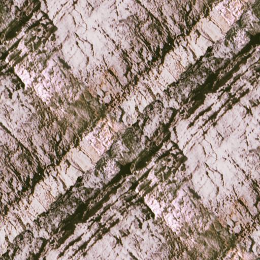 Rock1_085.jpg