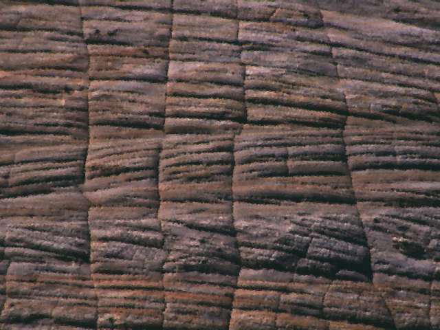 Rock1_091.jpg