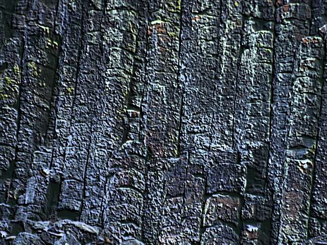 Rock1_092.jpg