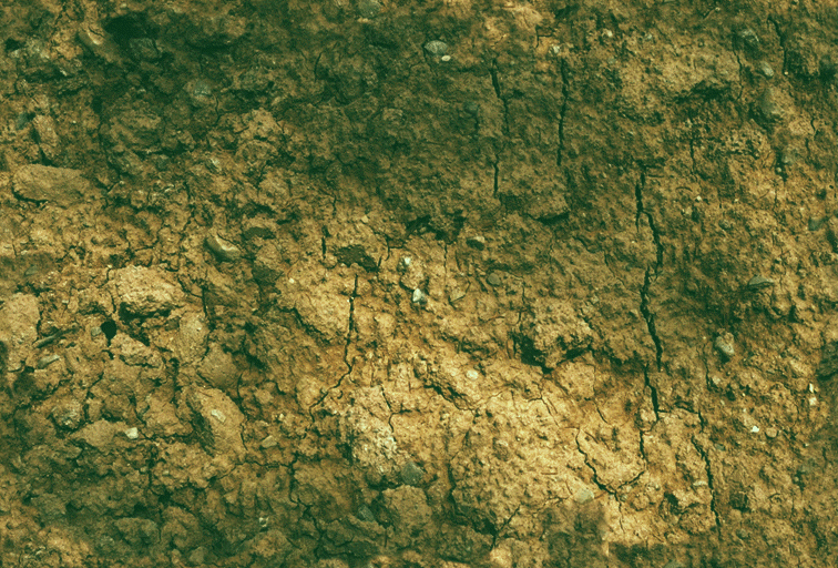 Rock1_097.jpg