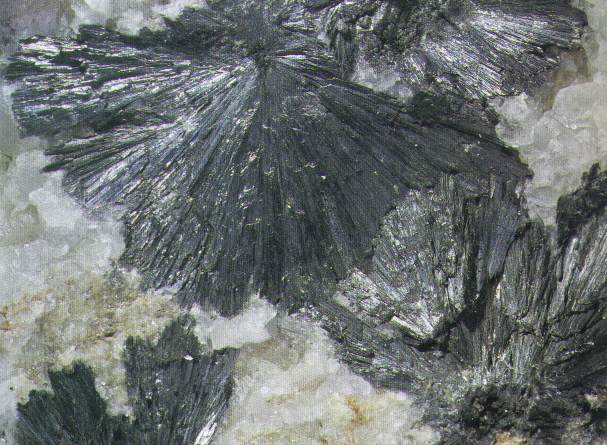Rook2_014.jpg