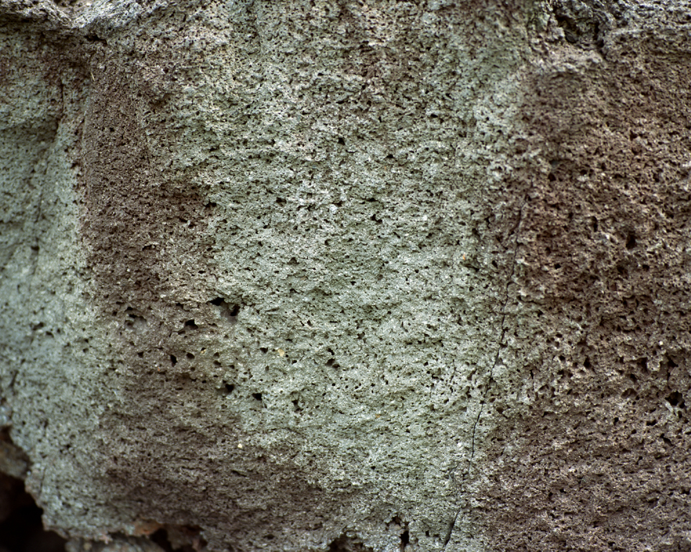 Rook2_071.jpg