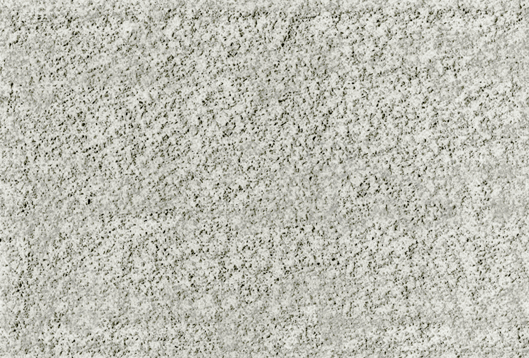 ash.jpg
