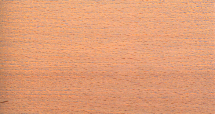 BEECH.jpg