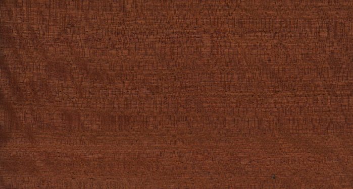 FSAPELE.jpg