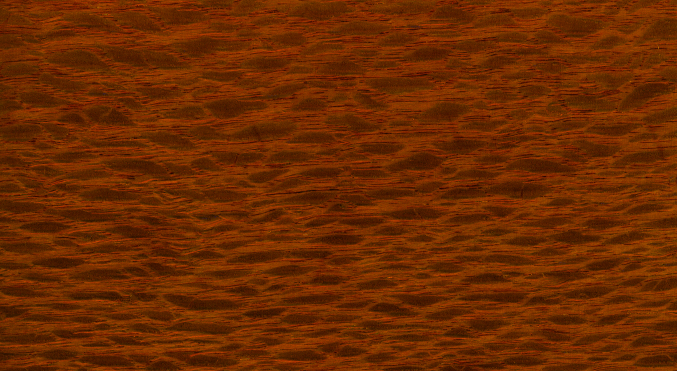 LACEWOOD.jpg