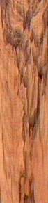 PLANK2.jpg