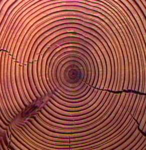 RINGS.jpg