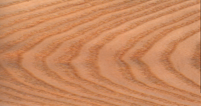 WHITEASH.jpg