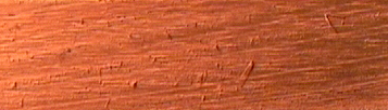 WOODSC1.jpg