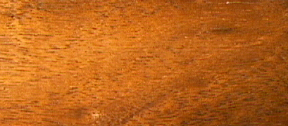 WOODSC3.jpg